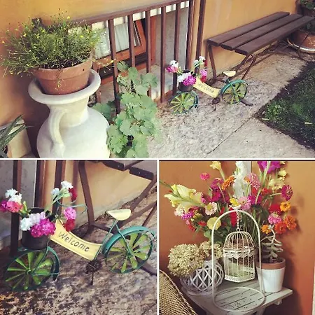 Luc * Verona